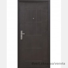 Двери металические Економ TP-C 09